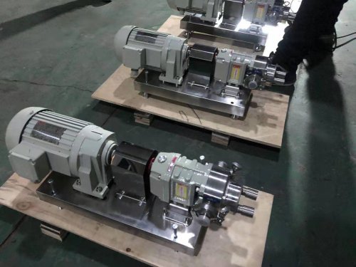 江蘇保溫(wēn)不鏽鋼轉子(zi)泵