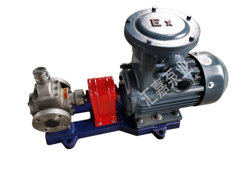 防爆不鏽(xiù)鋼圓弧齒輪泵